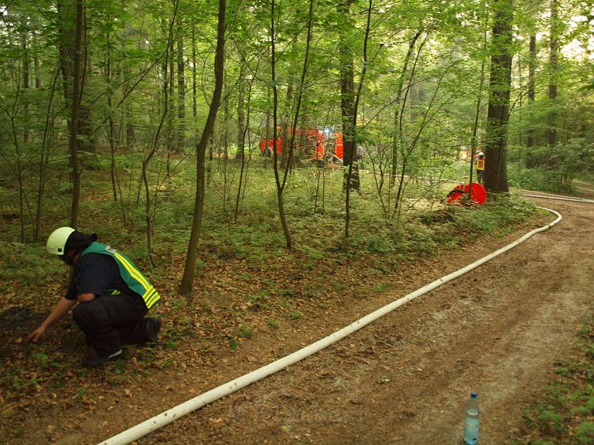 Waldbrand Bergisch Gladbach Bensberg P040.JPG